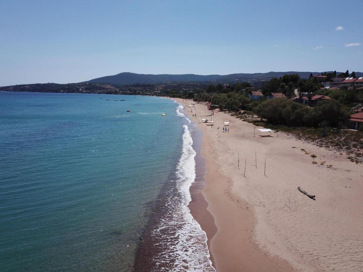 Takis Bizos House 1 Villa Koróni Buitenkant foto