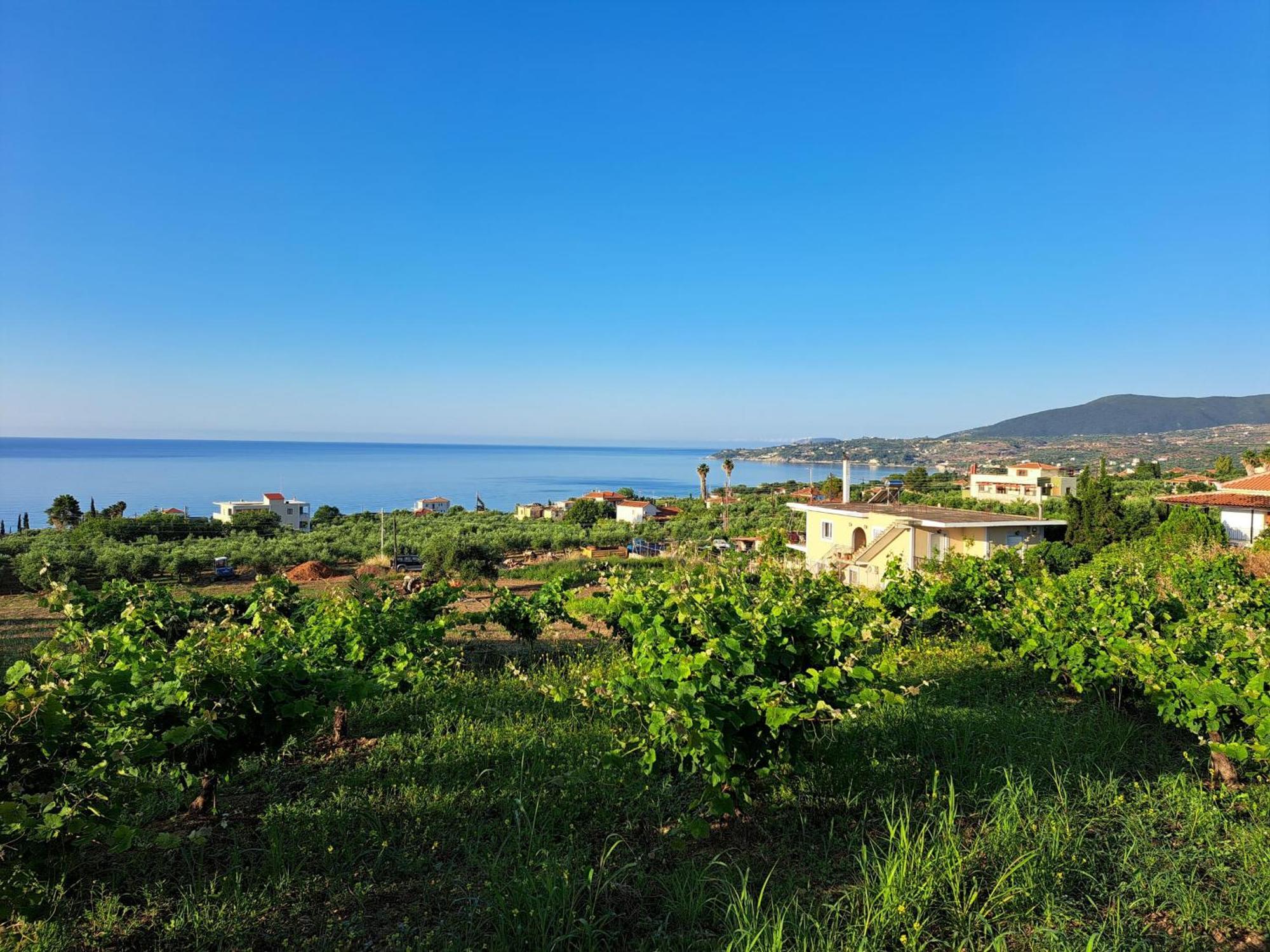 Takis Bizos House 1 Villa Koróni Buitenkant foto
